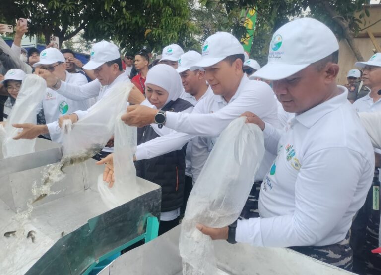 WhatsApp Image 2025-10-19 at 04.06.16