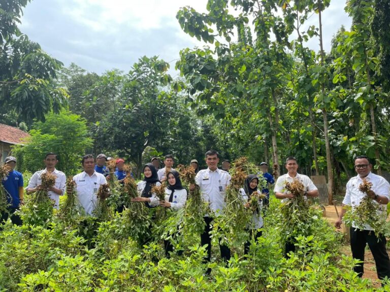 WhatsApp Image 2025-12-03 at 22.37.07