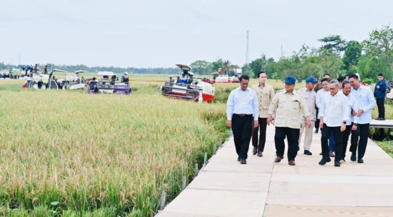 WhatsApp Image 2026-01-07 at 20.56.28