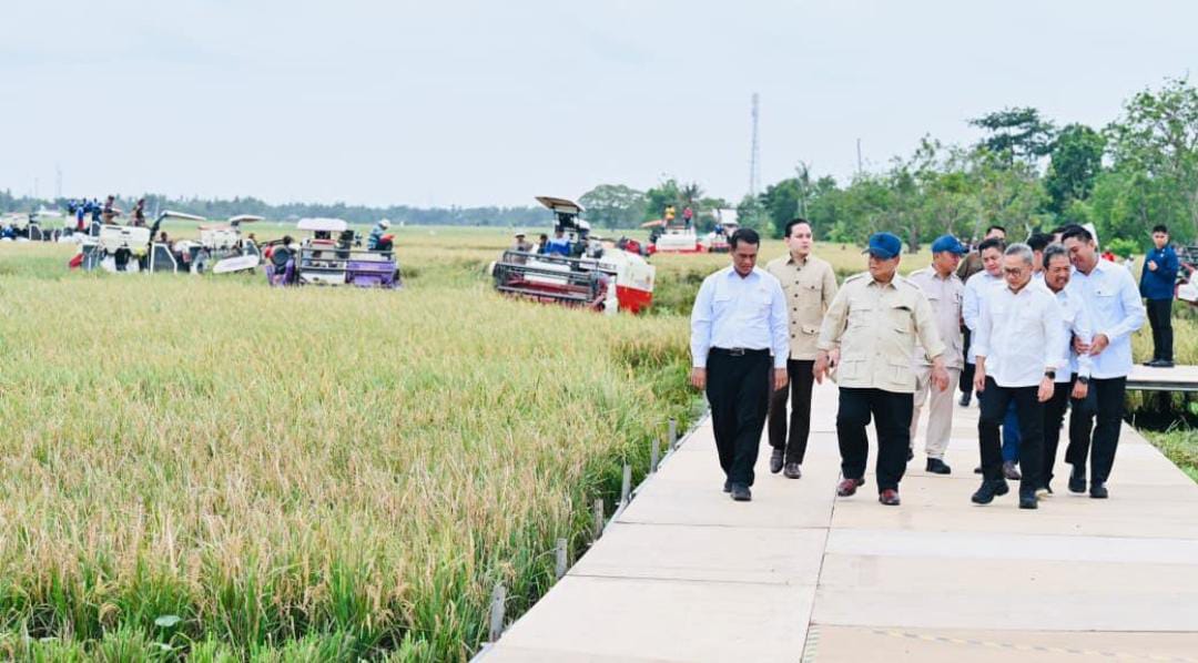 WhatsApp Image 2026-01-07 at 20.56.28